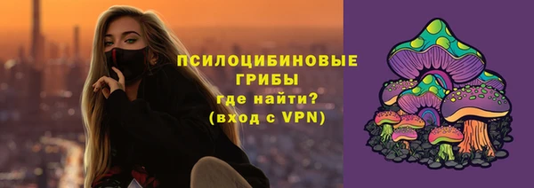 apvp Алзамай