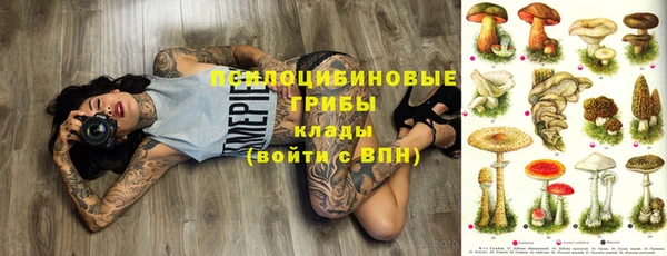 дмт Алексеевка