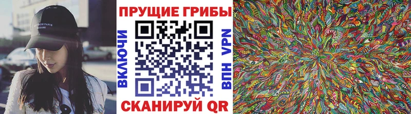 Псилоцибиновые грибы GOLDEN TEACHER  Буй 